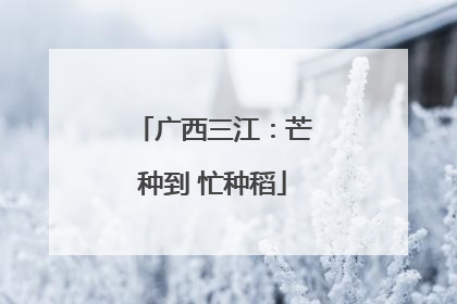 广西三江：芒种到 忙种稻