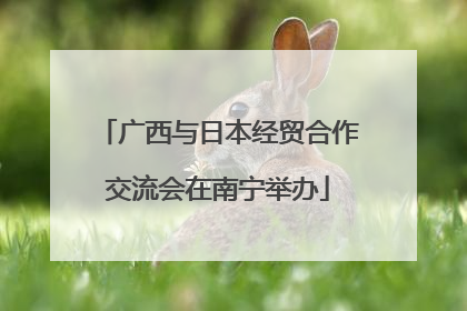 广西与日本经贸合作交流会在南宁举办