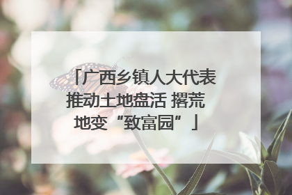 广西乡镇人大代表推动土地盘活 撂荒地变“致富园”