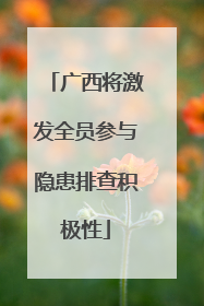 广西将激发全员参与隐患排查积极性