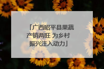 广西昭平县果蔬产销两旺 为乡村振兴注入动力