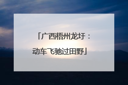 广西梧州龙圩：动车飞驰过田野