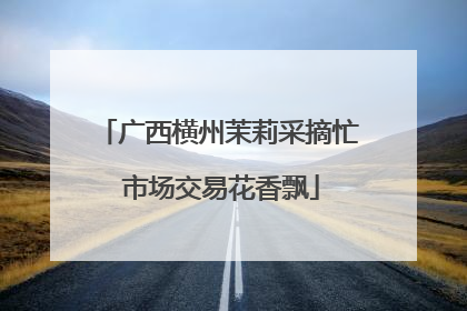 广西横州茉莉采摘忙 市场交易花香飘