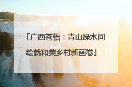 广西苍梧：青山绿水间绘就和美乡村新画卷