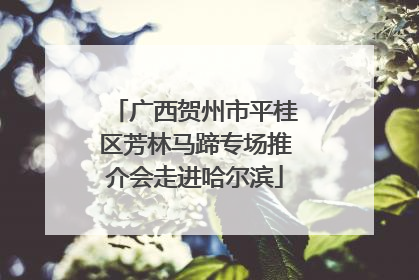 广西贺州市平桂区芳林马蹄专场推介会走进哈尔滨