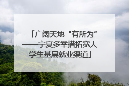 广阔天地“有所为”——宁夏多举措拓宽大学生基层就业渠道