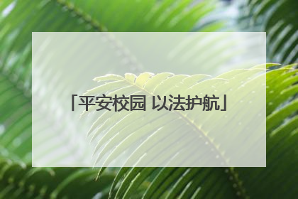 平安校园 以法护航