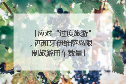 应对“过度旅游”，西班牙伊维萨岛限制旅游用车数量