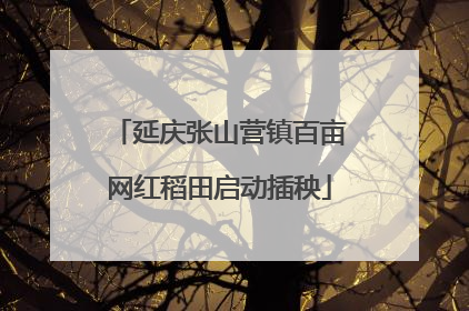 延庆张山营镇百亩网红稻田启动插秧