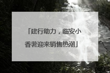 建行助力，临安小香薯迎来销售热潮