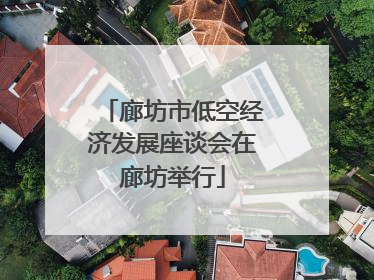 廊坊市低空经济发展座谈会在廊坊举行