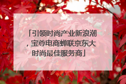 引领时尚产业新浪潮，宝尊电商蝉联京东大时尚最佳服务商
