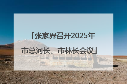 张家界召开2025年市总河长、市林长会议