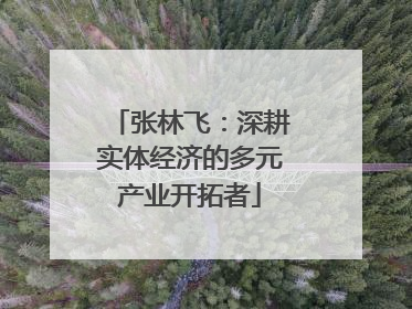 张林飞：深耕实体经济的多元产业开拓者