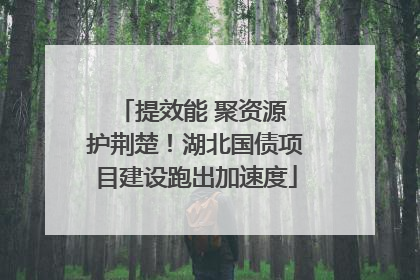 提效能 聚资源 护荆楚！湖北国债项目建设跑出加速度