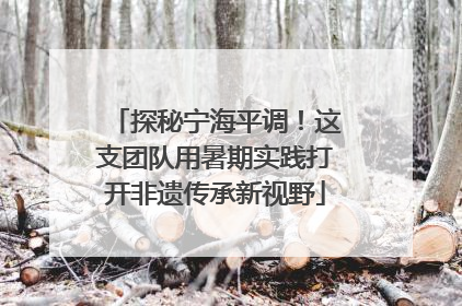 探秘宁海平调！这支团队用暑期实践打开非遗传承新视野