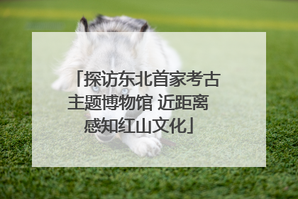 探访东北首家考古主题博物馆 近距离感知红山文化