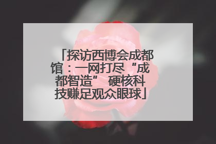 探访西博会成都馆：一网打尽“成都智造” 硬核科技赚足观众眼球