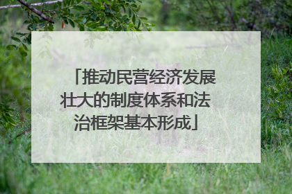 推动民营经济发展壮大的制度体系和法治框架基本形成