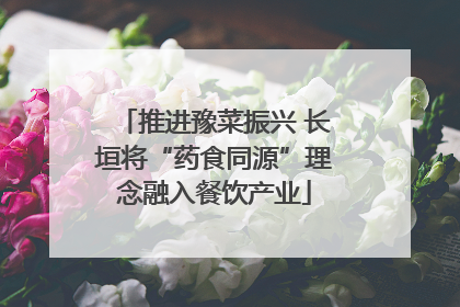 推进豫菜振兴 长垣将“药食同源”理念融入餐饮产业