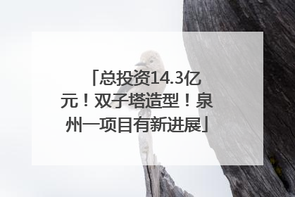 总投资14.3亿元！双子塔造型！泉州一项目有新进展