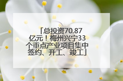 总投资70.87亿元！梅州兴宁33个重点产业项目集中签约、开工、竣工