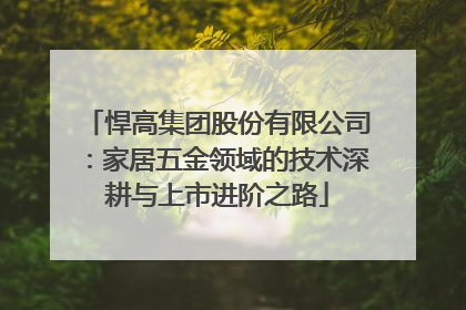 悍高集团股份有限公司：家居五金领域的技术深耕与上市进阶之路