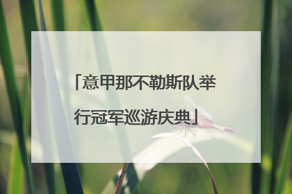 意甲那不勒斯队举行冠军巡游庆典