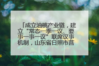 成立油桃产业链，建立“常态一季一议、要事一事一议”联席议事机制，山东省日照市莒县果庄镇——13个党小组“全周期”育果