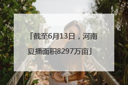 截至6月13日，河南夏播面积8297万亩