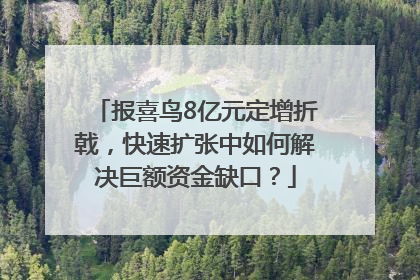报喜鸟8亿元定增折戟，快速扩张中如何解决巨额资金缺口？