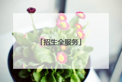 招生全服务