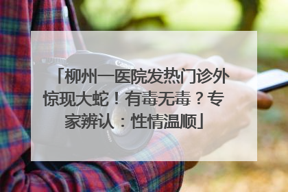 柳州一医院发热门诊外惊现大蛇！有毒无毒？专家辨认：性情温顺