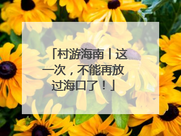 村游海南丨这一次，不能再放过海口了！