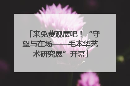 来免费观展吧！“守望与在场——毛本华艺术研究展”开幕