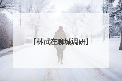 林武在聊城调研