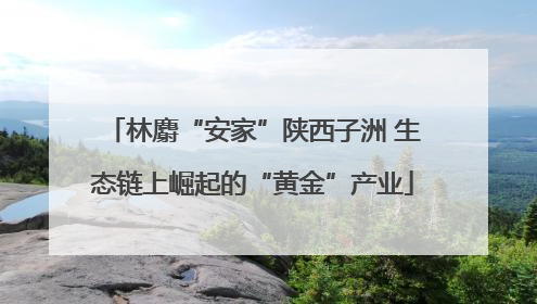 林麝“安家”陕西子洲 生态链上崛起的“黄金”产业