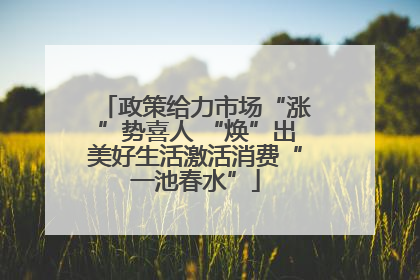 政策给力市场“涨”势喜人 “焕”出美好生活激活消费“一池春水”