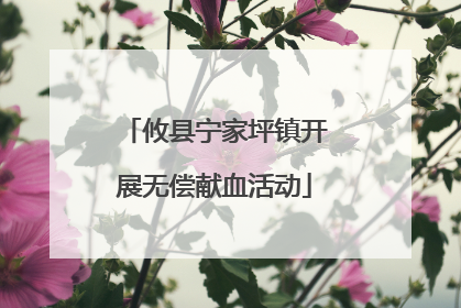 攸县宁家坪镇开展无偿献血活动