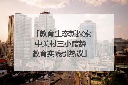 教育生态新探索 中关村三小跨龄教育实践引热议