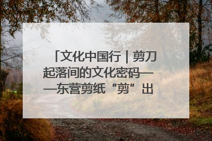 文化中国行｜剪刀起落间的文化密码——东营剪纸“剪”出非遗传承与现代生活的融合之道