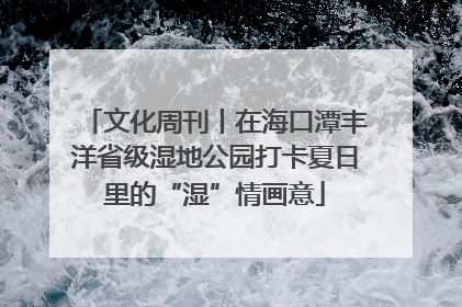 文化周刊丨在海口潭丰洋省级湿地公园打卡夏日里的“湿”情画意