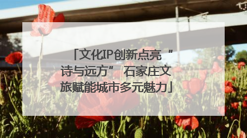 文化IP创新点亮“诗与远方” 石家庄文旅赋能城市多元魅力