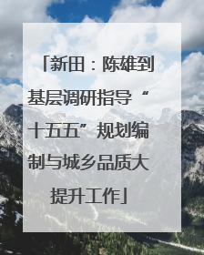 新田：陈雄到基层调研指导“十五五”规划编制与城乡品质大提升工作