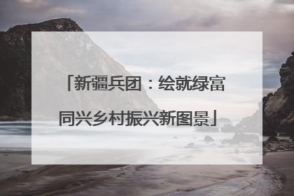 新疆兵团：绘就绿富同兴乡村振兴新图景