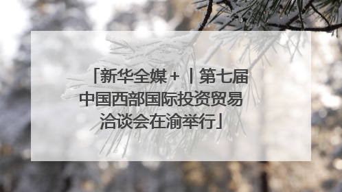 新华全媒＋丨第七届中国西部国际投资贸易洽谈会在渝举行