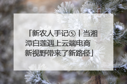 新农人手记⑤丨当湘潭白莲遇上云端电商 新视野带来了新路径