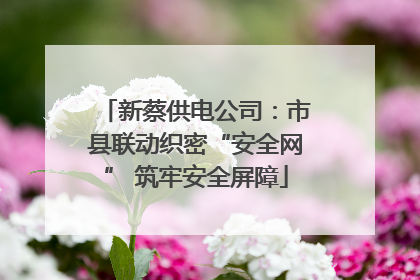 新蔡供电公司：市县联动织密“安全网” 筑牢安全屏障
