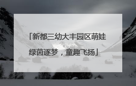 新都三幼大丰园区萌娃绿茵逐梦，童趣飞扬