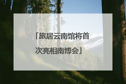 旅居云南馆将首次亮相南博会
